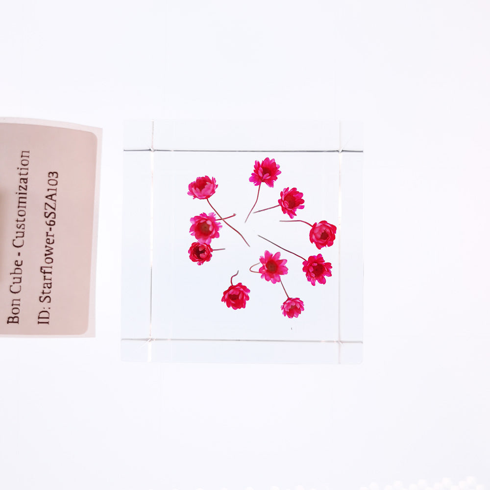 Cube Series - Starflower #6SZA103