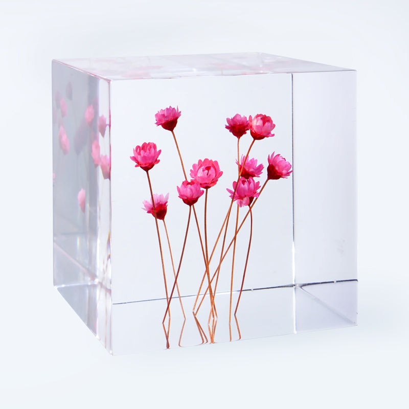 Cube Series - Starflower Cube Gallery