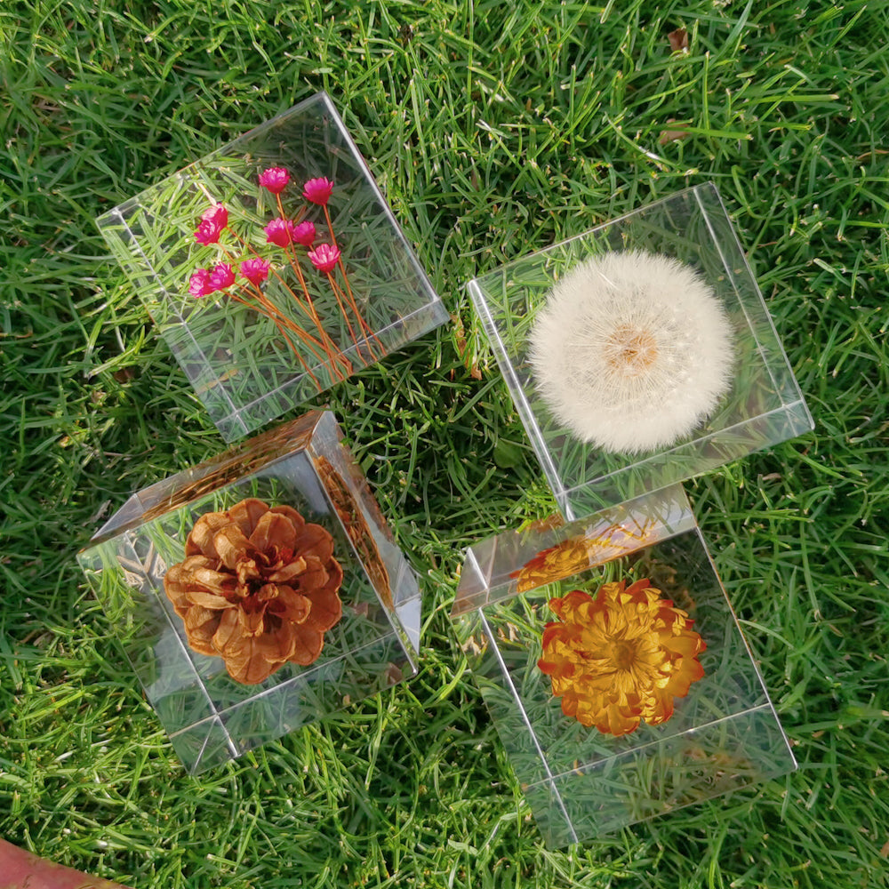 Cube Series