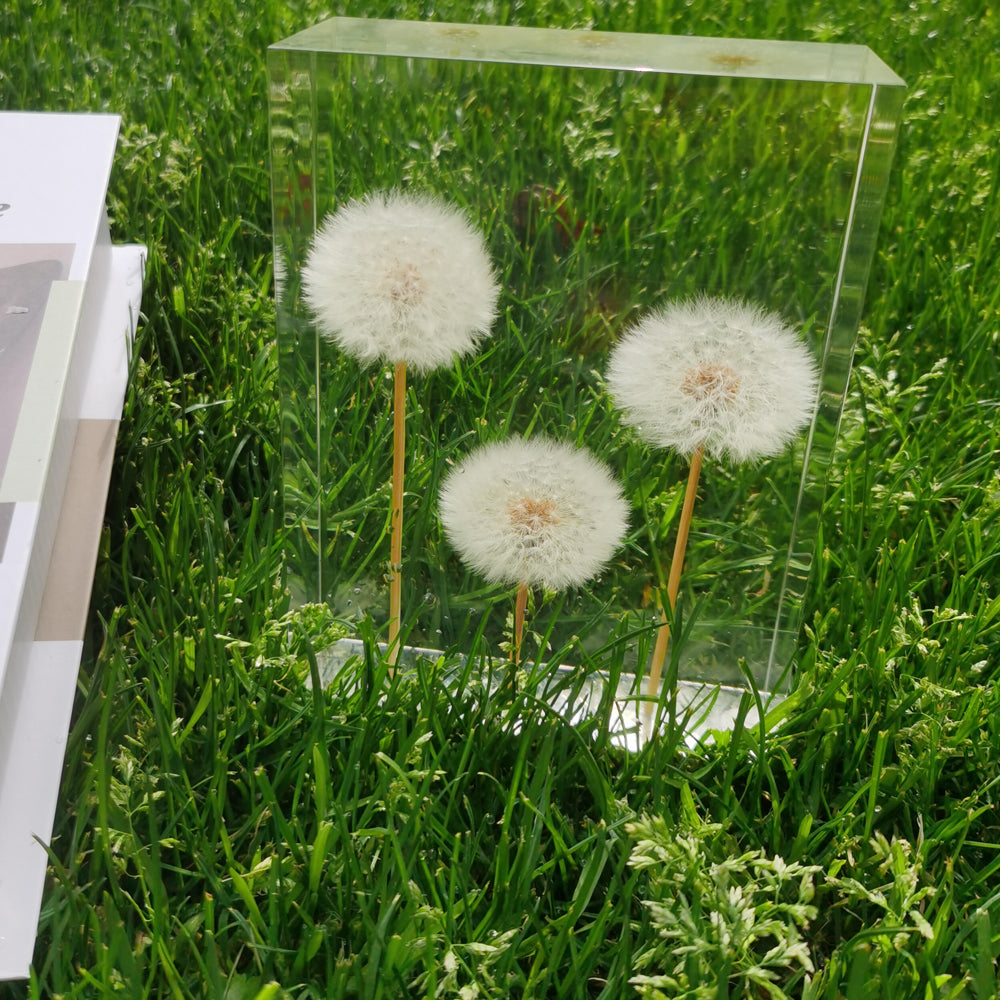 Dandelion Whispers