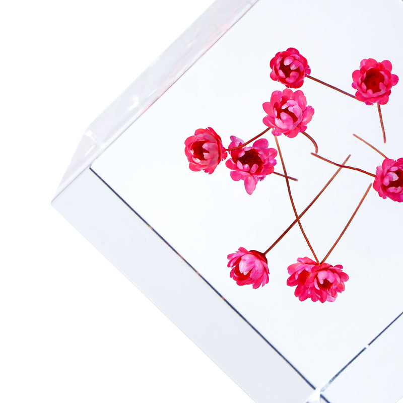 Cube Series - Starflower (On Amazon)