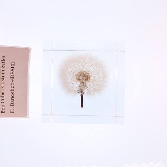 Cube Series - Dandelion #6DPA101