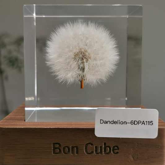 Cube Series - Dandelion #6DPA115