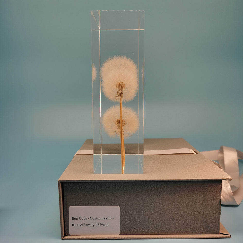 Dandelion Whispers - Family #5FPA101