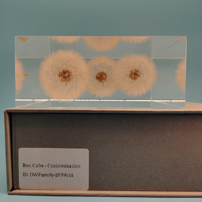 Dandelion Whispers - Family #5FPA101