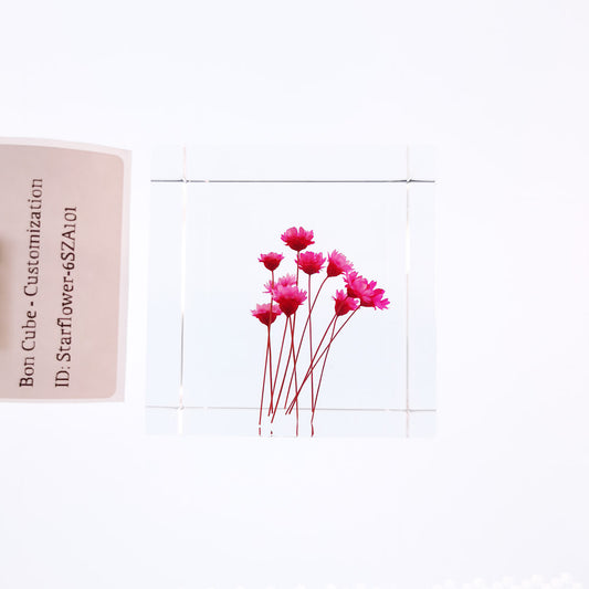 Cube Series - Starflower #6SZA101