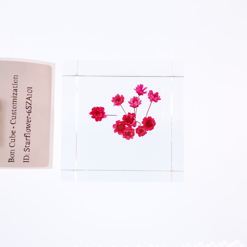Cube Series - Starflower #6SZA101