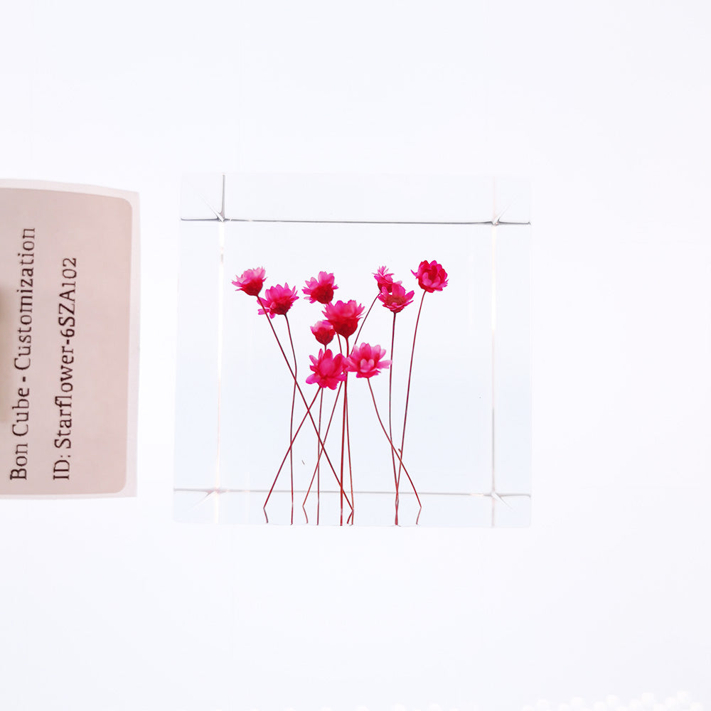 Cube Series - Starflower #6SZA102