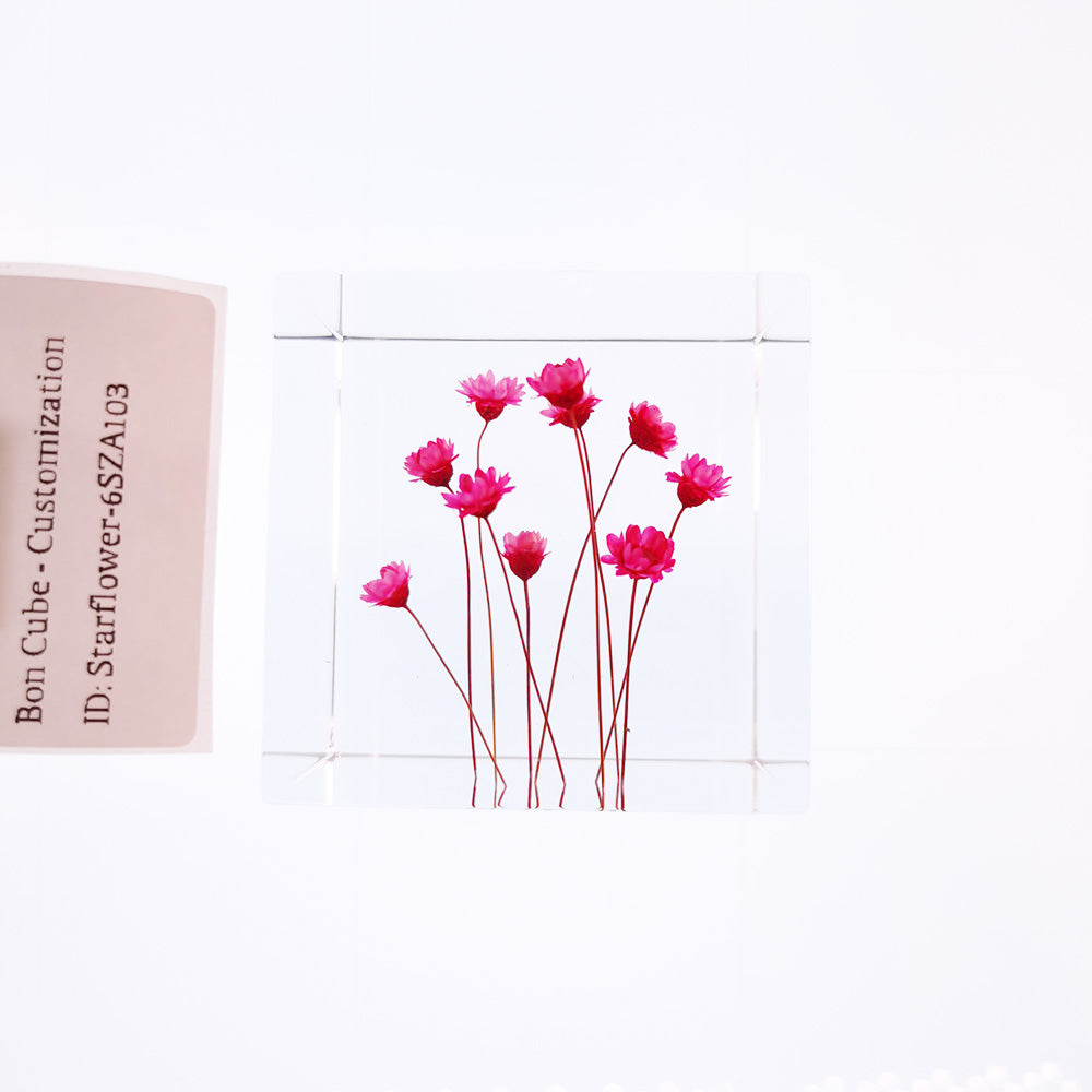 Cube Series - Starflower #6SZA103
