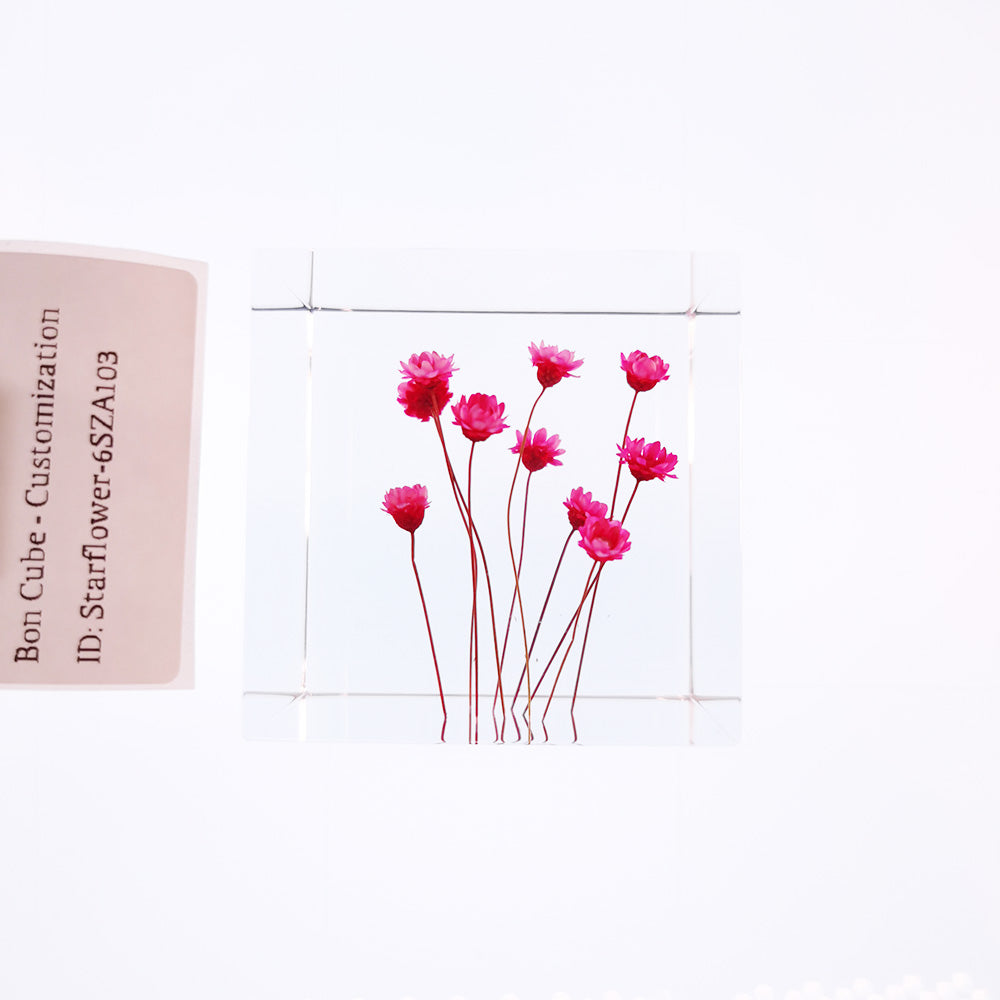 Cube Series - Starflower #6SZA103