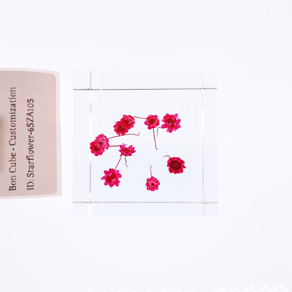 Cube Series - Starflower #6SZA105
