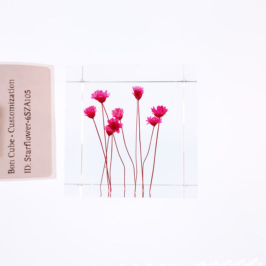 Cube Series - Starflower #6SZA105